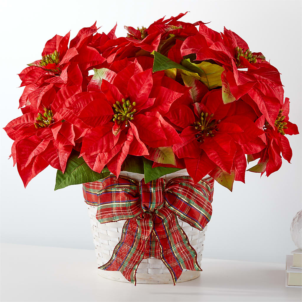 Happiest Holidays Poinsettia – BEN & NEVA'S FLOWERS, Grand Saline TX