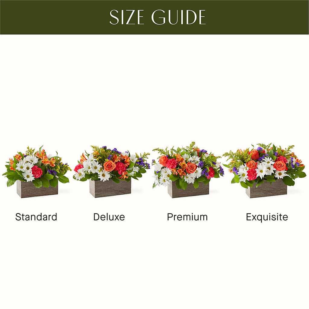 Oopsie Daisy Box Bouquet – BEN & NEVA'S FLOWERS, Grand Saline TX