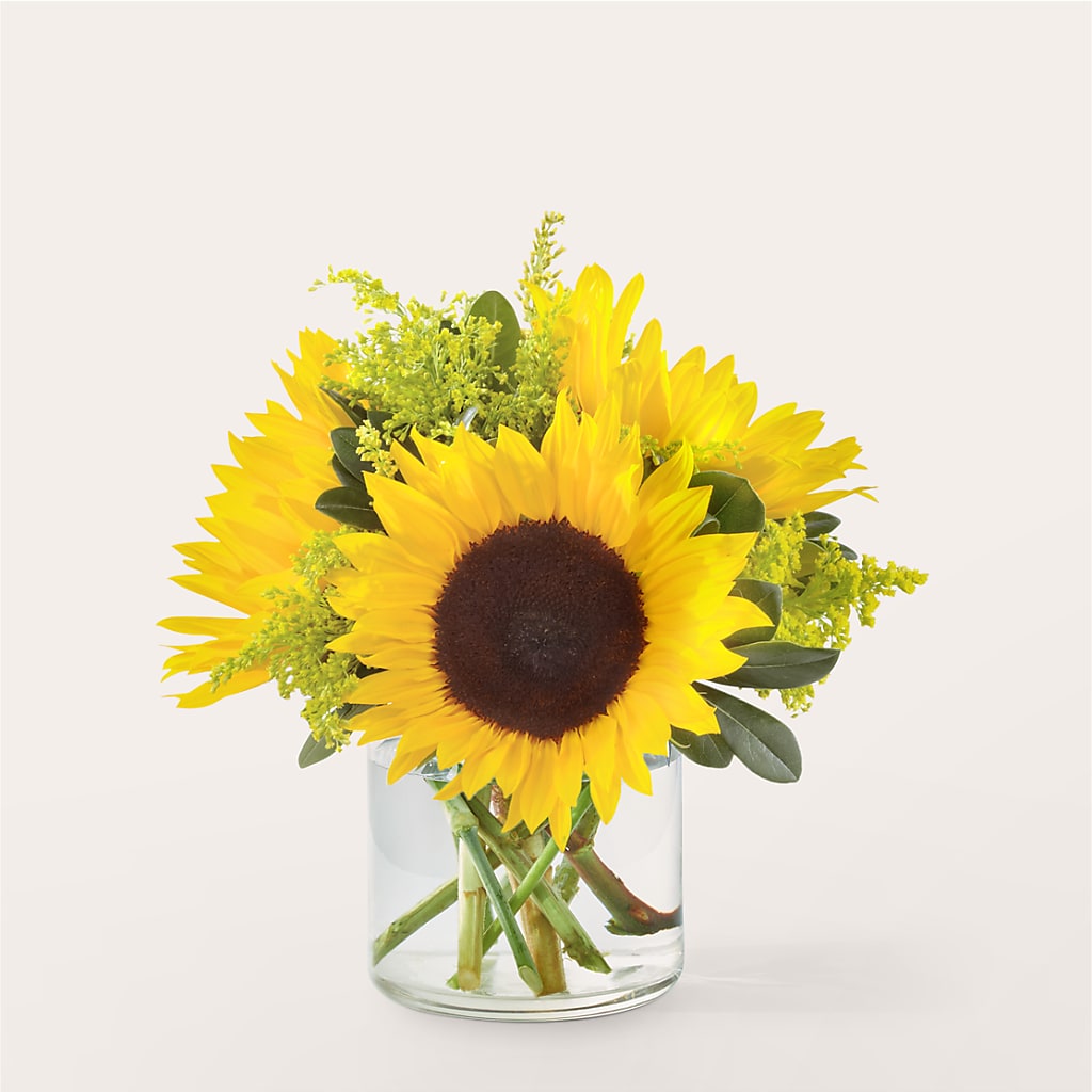 Beaming Sunflower Bouquet – BEN & NEVA'S FLOWERS, Grand Saline TX