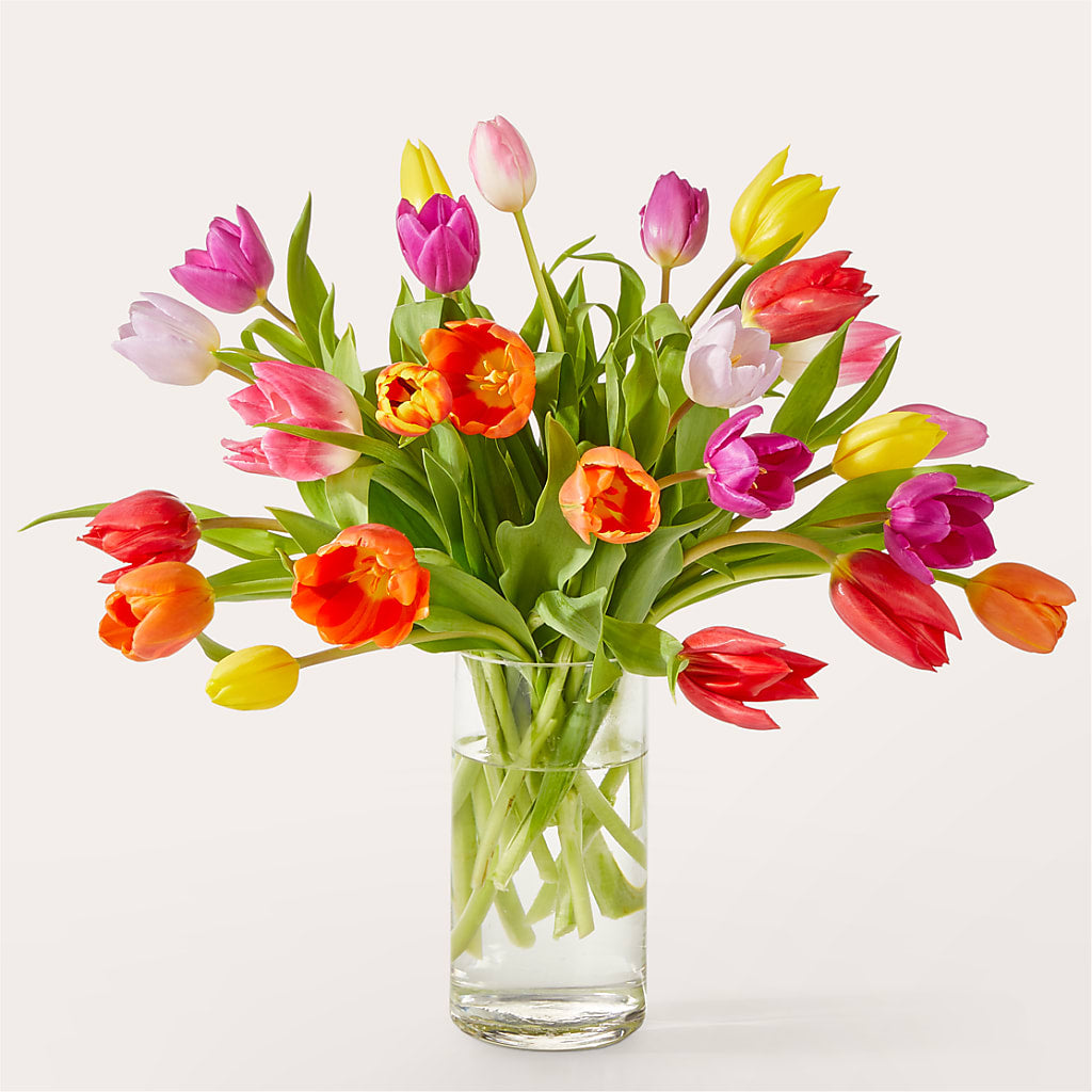Let's Talk Tulips Bouquet – BEN & NEVA'S FLOWERS, Grand Saline TX