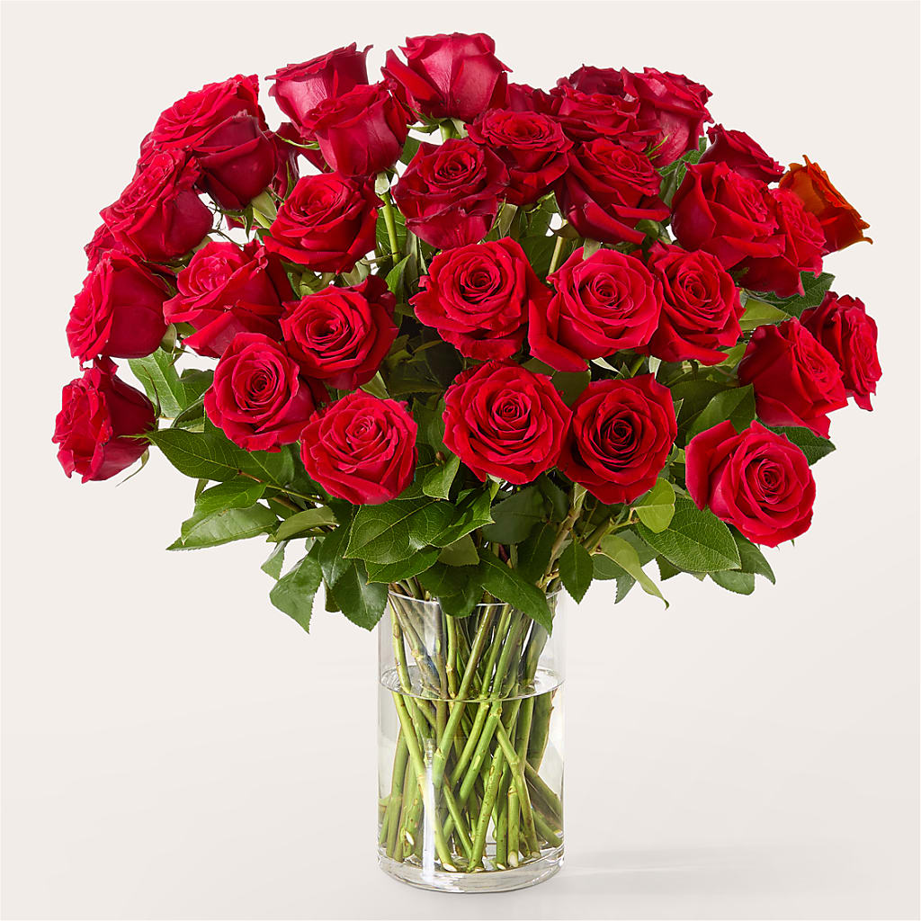 The One Red Rose Bouquet – BEN & NEVA'S FLOWERS, Grand Saline TX