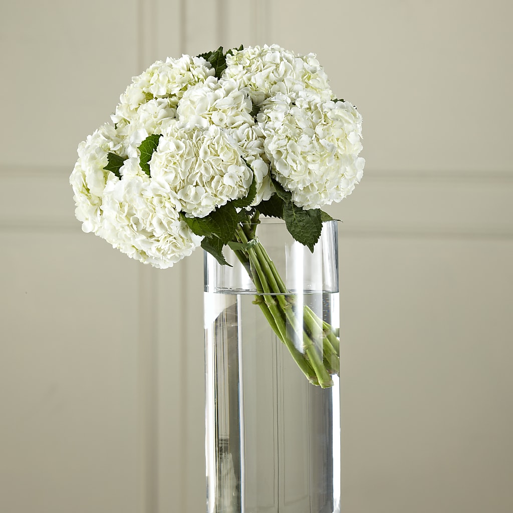 White Hydrangea Hand-Tied Bouquet – BEN & NEVA'S FLOWERS, Grand Saline TX