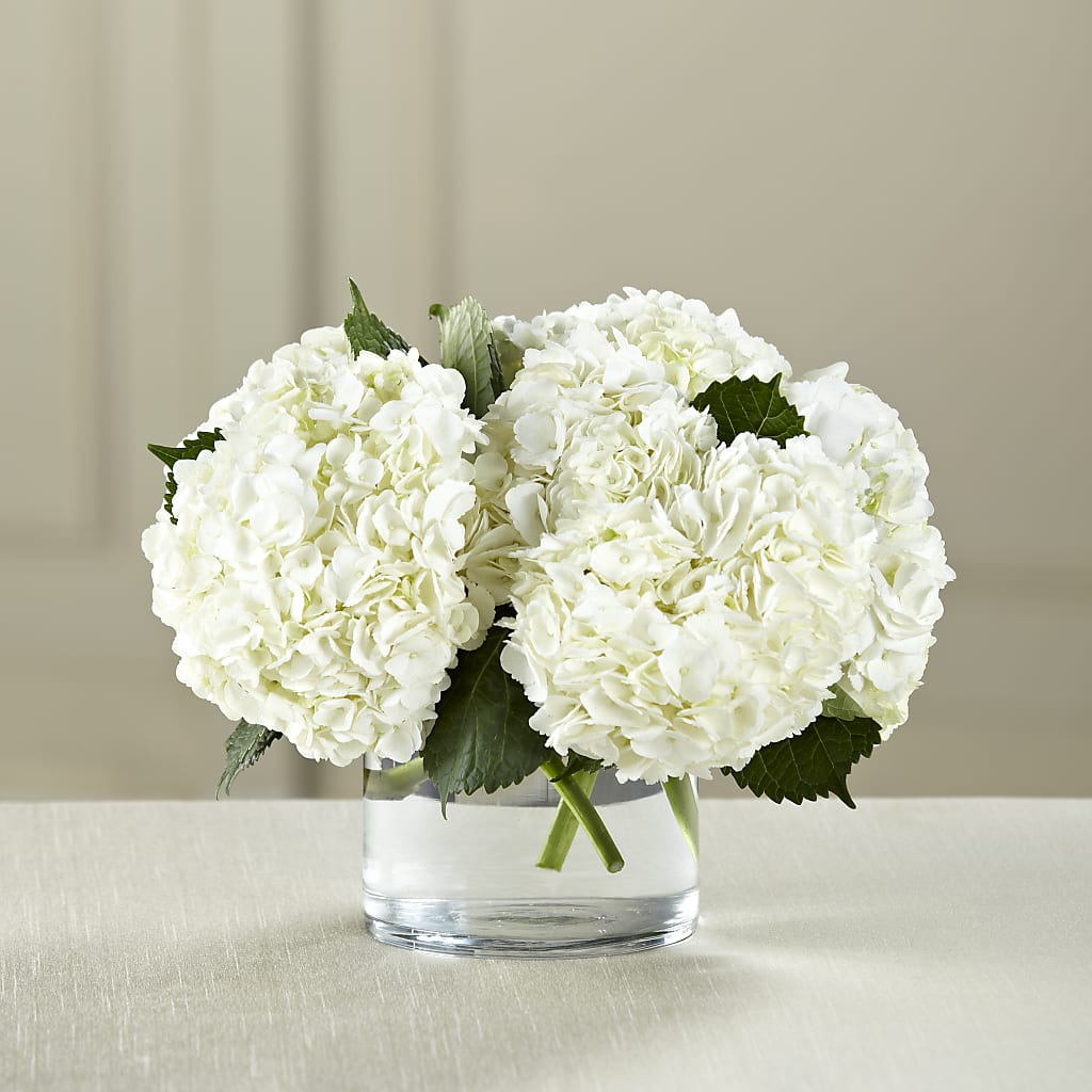 White Hydrangea Bouquet – BEN & NEVA'S FLOWERS, Grand Saline TX