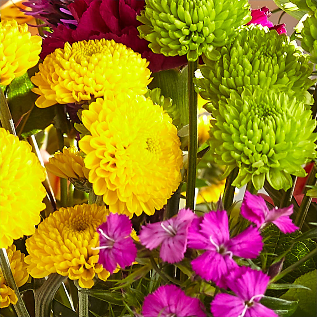 Bold & Bright – A Florist Original – BEN & NEVA'S FLOWERS, Grand Saline TX