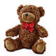 Adorable Plush Bear – BEN & NEVA'S FLOWERS, Grand Saline TX