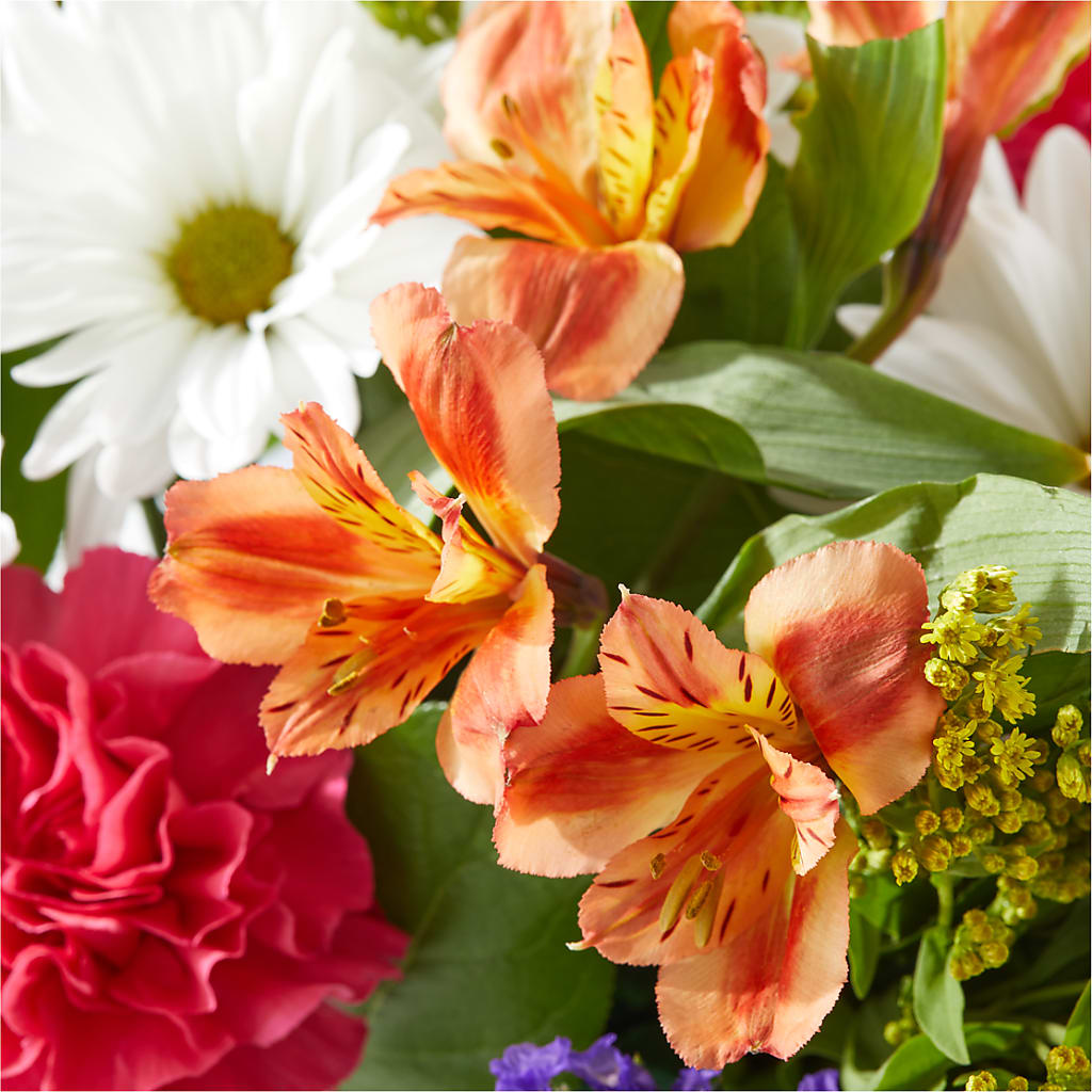 Oopsie Daisy Box Bouquet – BEN & NEVA'S FLOWERS, Grand Saline TX