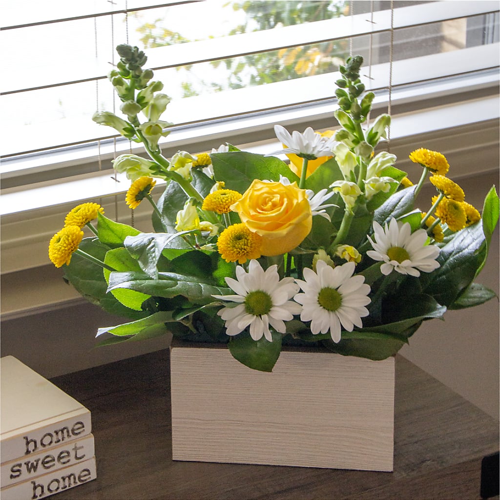 Sun Salutation Box Bouquet – BEN & NEVA'S FLOWERS, Grand Saline TX