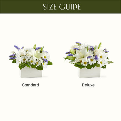 Beyond Blue Box Bouquet – BEN & NEVA'S FLOWERS, Grand Saline TX