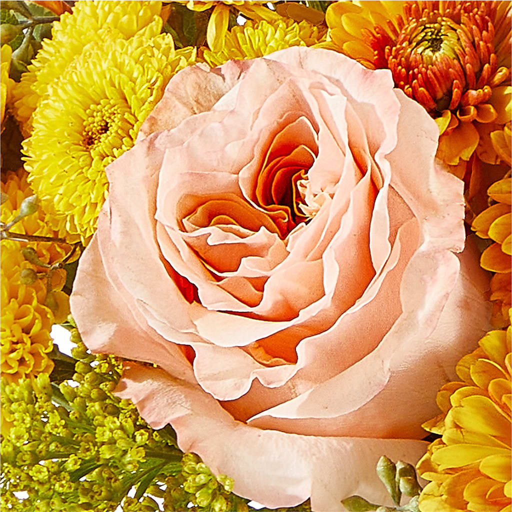Peachy Pumpkin – BEN & NEVA'S FLOWERS, Grand Saline TX