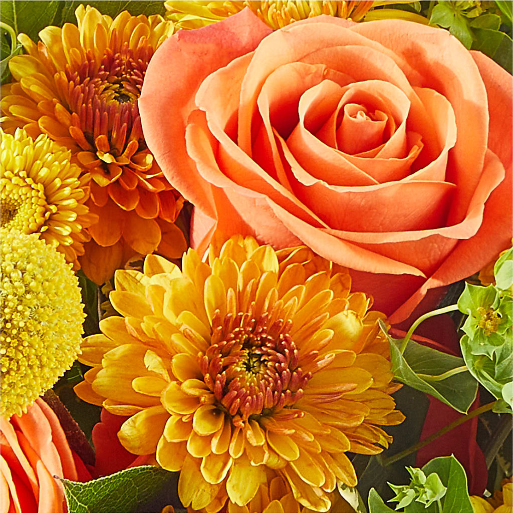 Gourdgeous Pumpkin – BEN & NEVA'S FLOWERS, Grand Saline TX