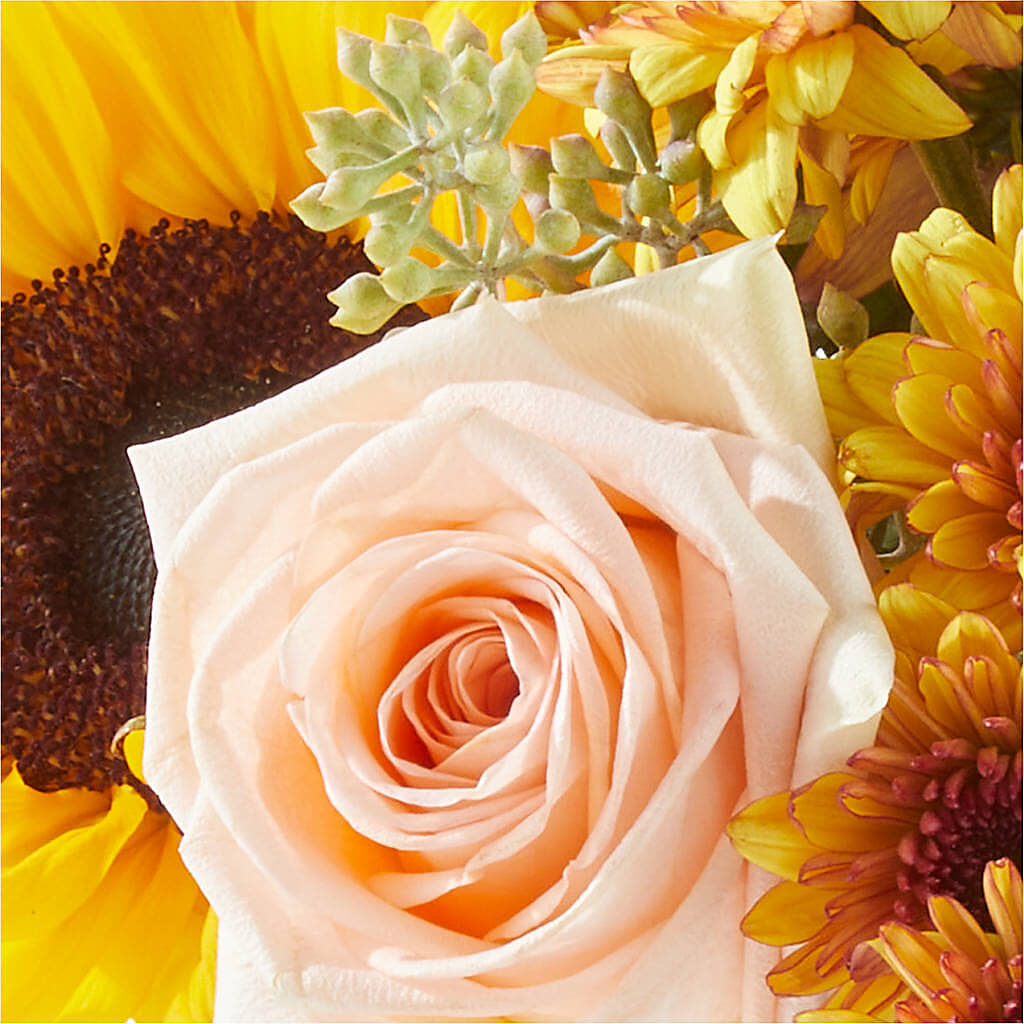 Pumpkin to Talk About Bouquet – BEN & NEVA'S FLOWERS, Grand Saline TX