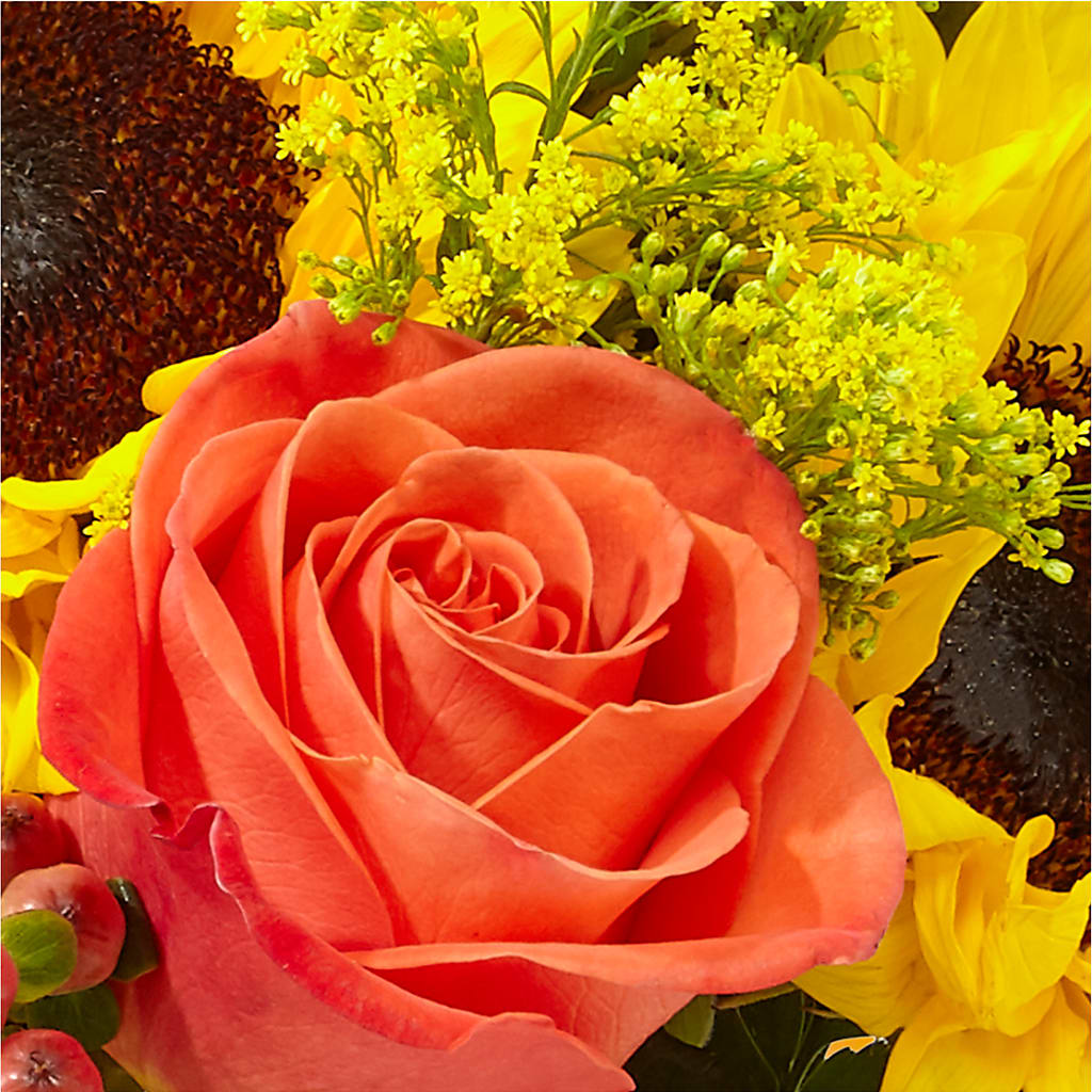 Pick of the Patch Pumpkin Bouquet – BEN & NEVA'S FLOWERS, Grand Saline TX