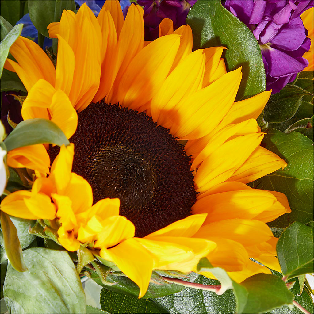 Catching Rays Bouquet – BEN & NEVA'S FLOWERS, Grand Saline TX