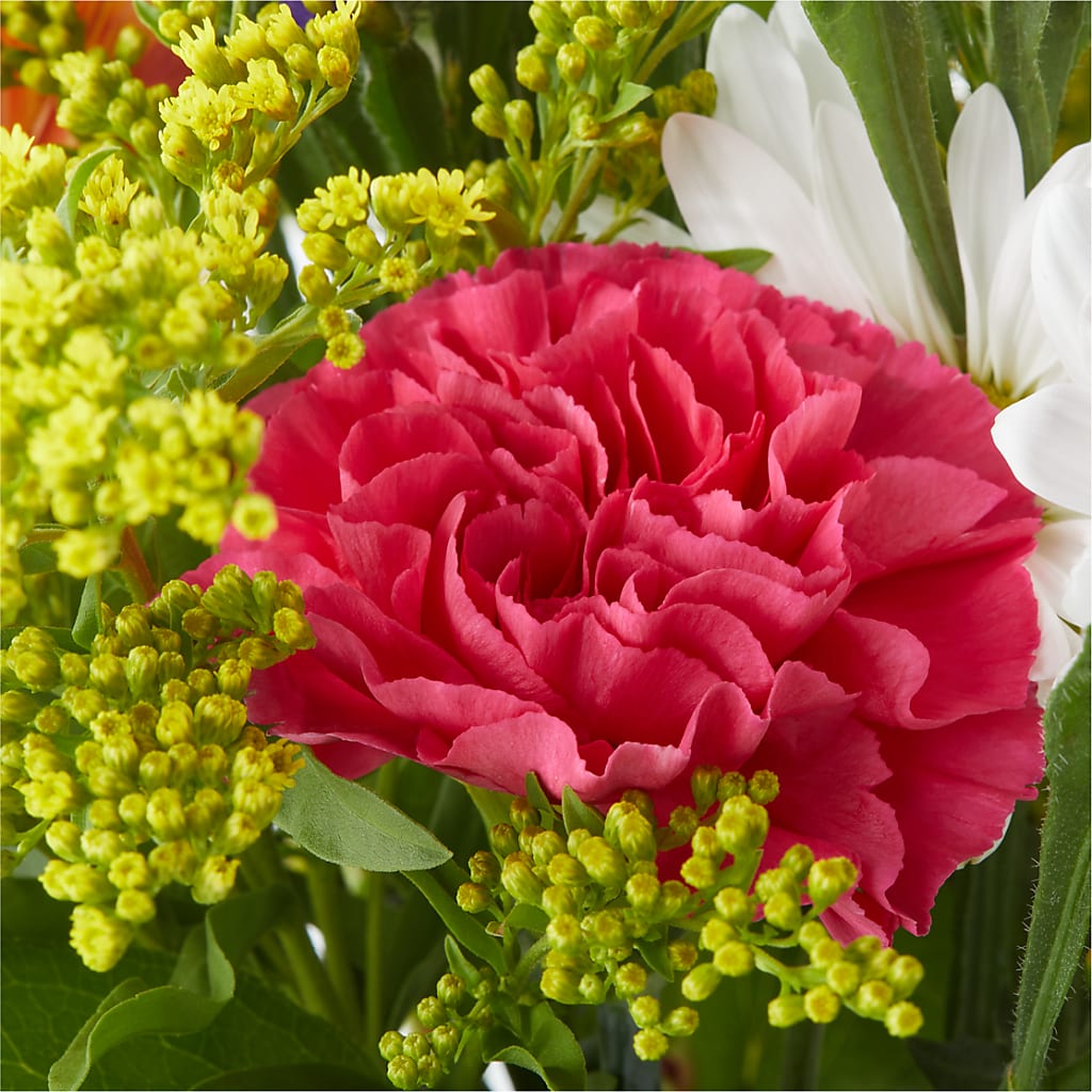 Oopsie Daisy Bouquet – BEN & NEVA'S FLOWERS, Grand Saline TX