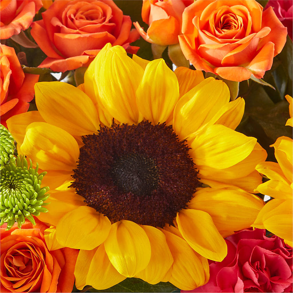 Sun-drenched Blooms Box Bouquet – BEN & NEVA'S FLOWERS, Grand Saline TX