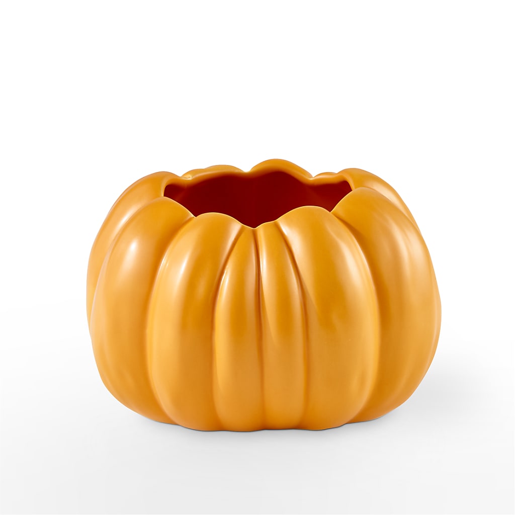 Pick of the Patch Pumpkin Bouquet – BEN & NEVA'S FLOWERS, Grand Saline TX