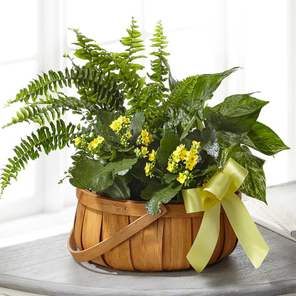 Always Dear Dishgarden – BEN & NEVA'S FLOWERS, Grand Saline TX