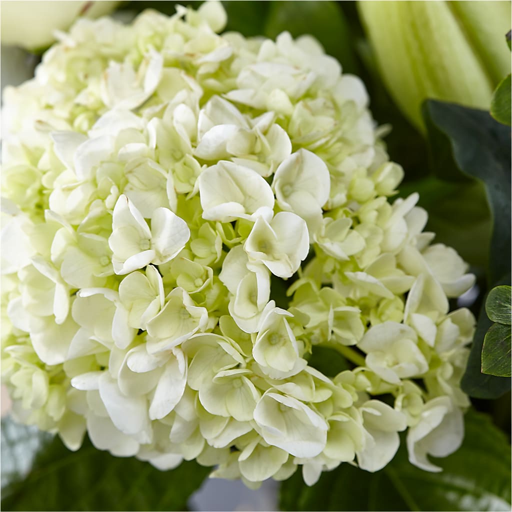 Classic Ivory – A Florist Original – BEN & NEVA'S FLOWERS, Grand Saline TX