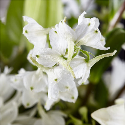 Classic Ivory – A Florist Original – BEN & NEVA'S FLOWERS, Grand Saline TX