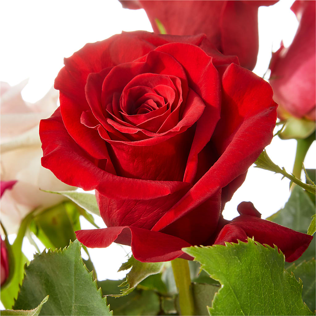 Love Notes Rose Bouquet – BEN & NEVA'S FLOWERS, Grand Saline TX