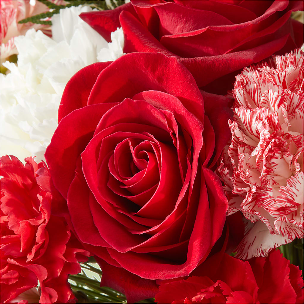 Candy Cane Lane Bouquet – BEN & NEVA'S FLOWERS, Grand Saline TX