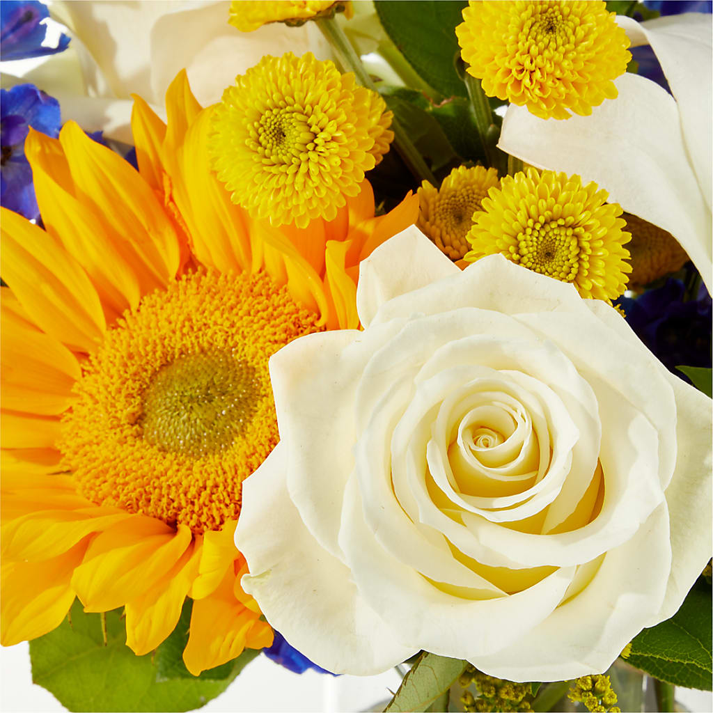 Stargazing Bouquet – BEN & NEVA'S FLOWERS, Grand Saline TX