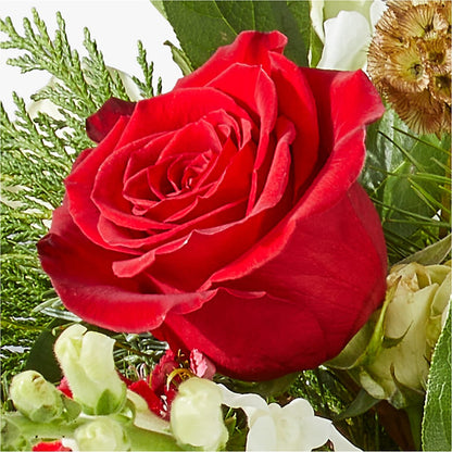 Deck the Halls Bouquet – BEN & NEVA'S FLOWERS, Grand Saline TX