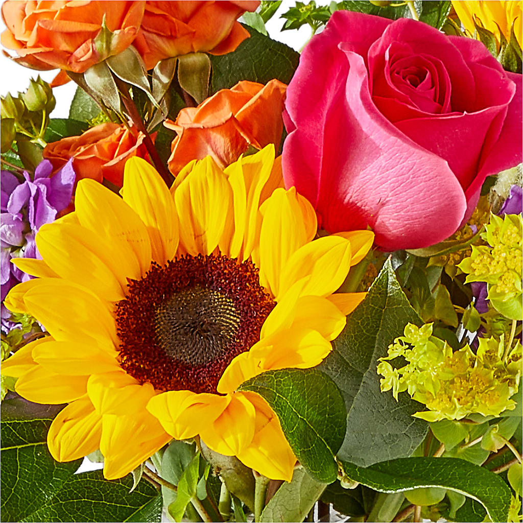 Vibrant Greetings Bouquet – BEN & NEVA'S FLOWERS, Grand Saline TX
