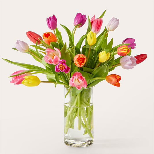 Let's Talk Tulips Bouquet – BEN & NEVA'S FLOWERS, Grand Saline TX