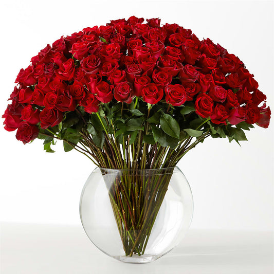 The Idealist – BEN & NEVA'S FLOWERS, Grand Saline TX