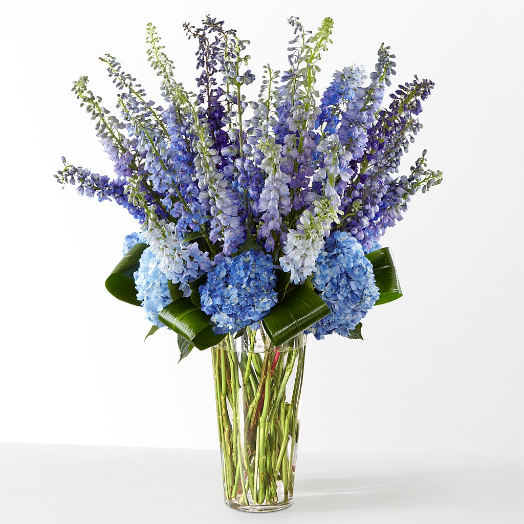 The Editorial – BEN & NEVA'S FLOWERS, Grand Saline TX