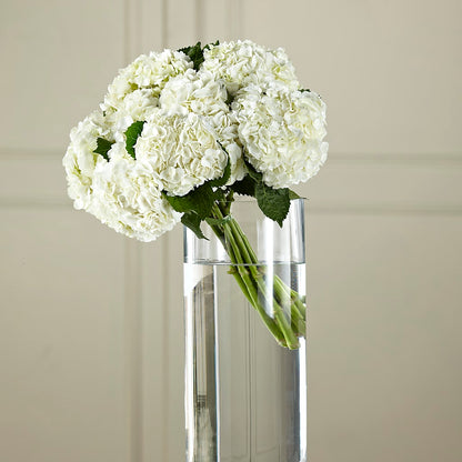 White Hydrangea Hand-Tied Bouquet – BEN & NEVA'S FLOWERS, Grand Saline TX