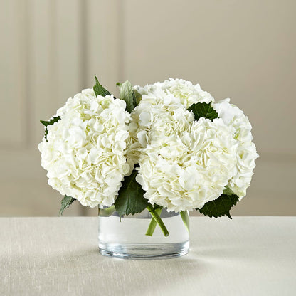 White Hydrangea Bouquet – BEN & NEVA'S FLOWERS, Grand Saline TX